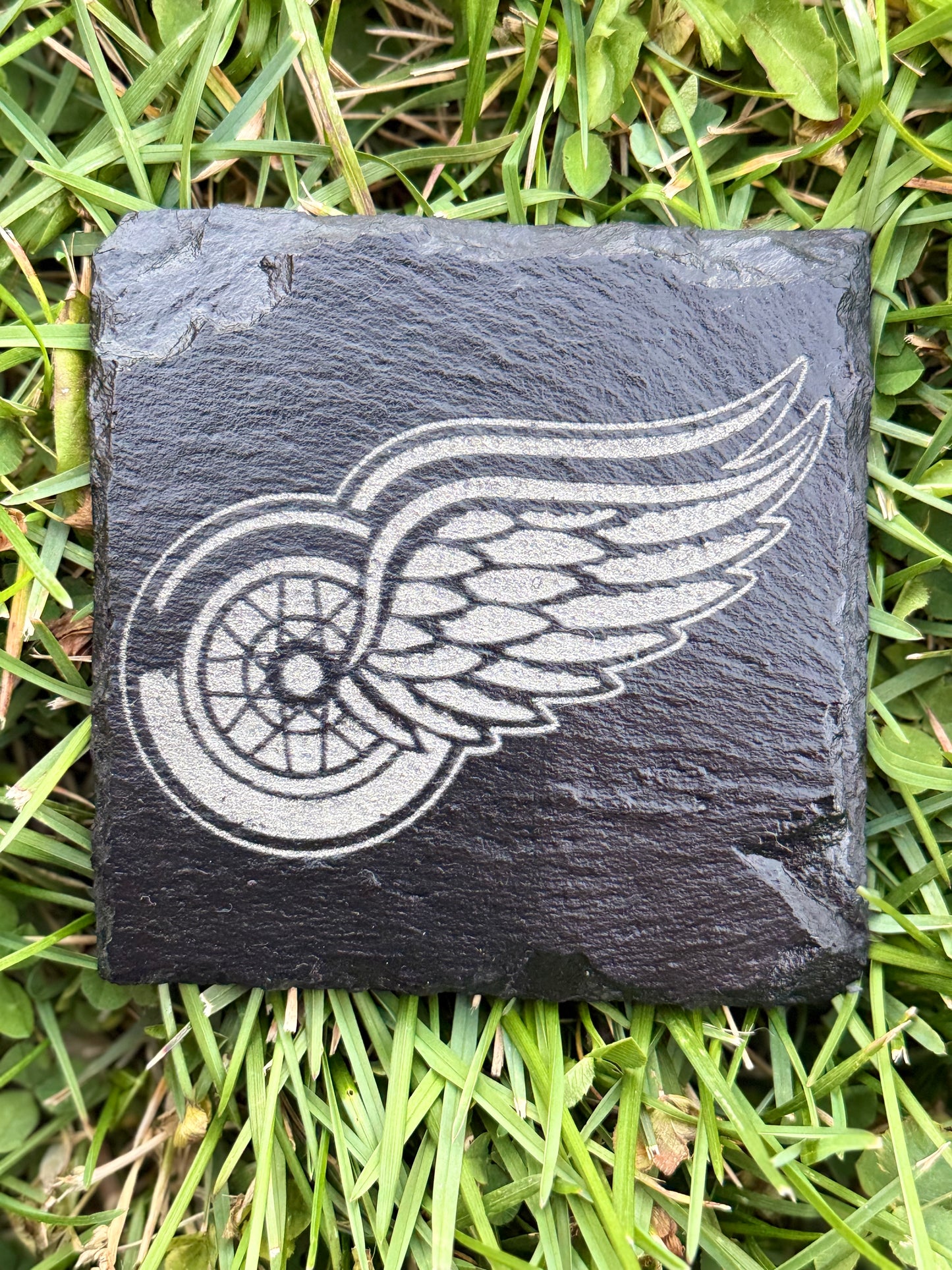 Rep the D ⚾🏀🏈🏒