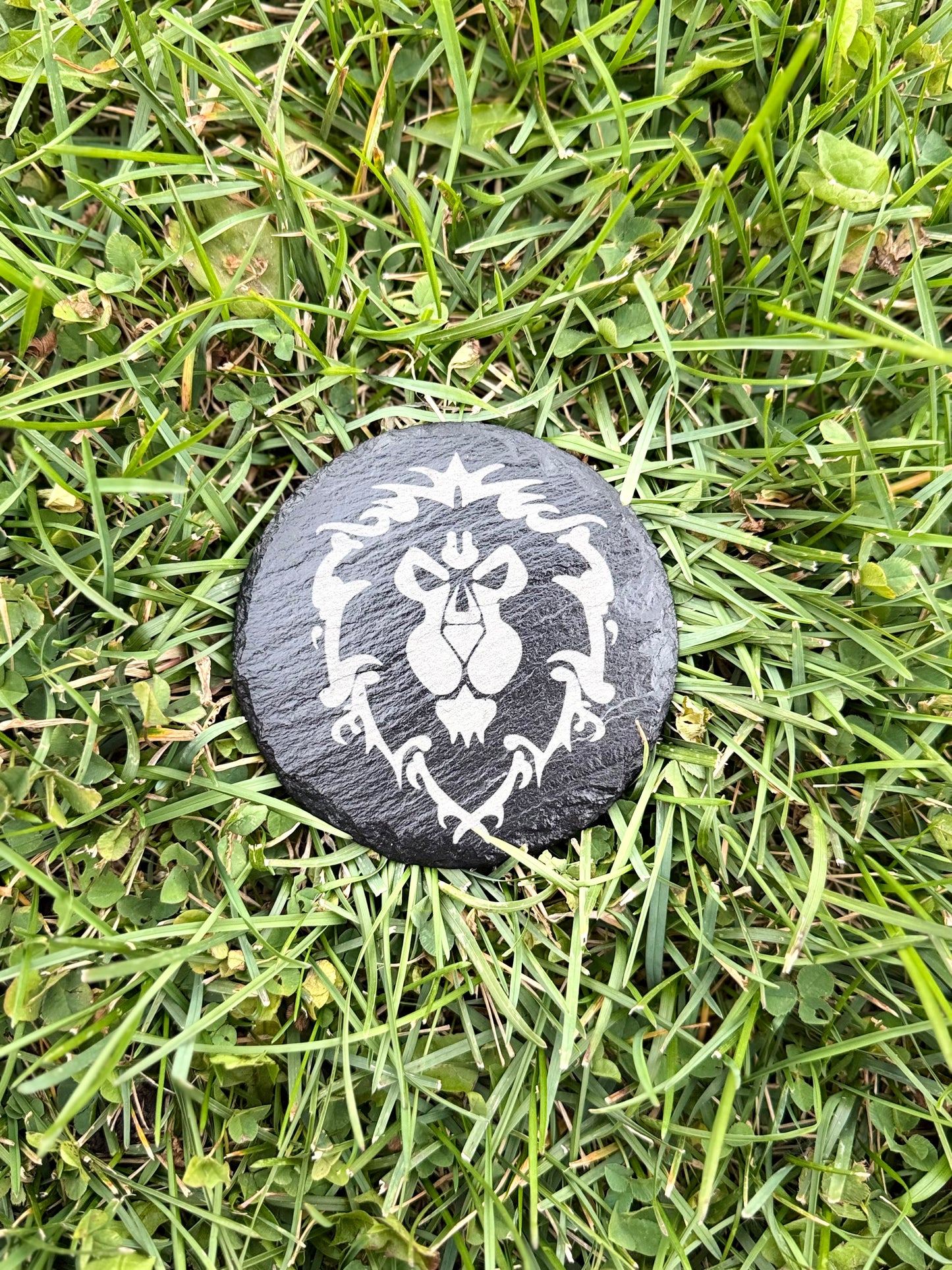 World of Warcraft set 🛡️